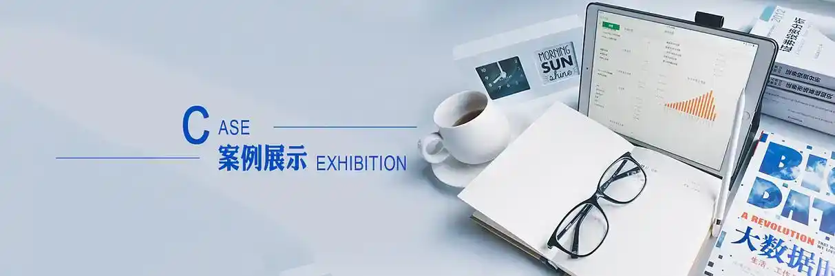 屯溪区软件开发